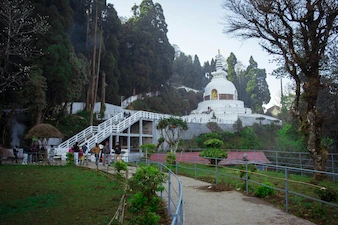 darjeeling tea heritage tour