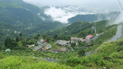 Luxury Darjeeling Tea Estate Stay