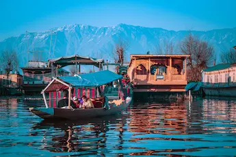 classic kashmir delight