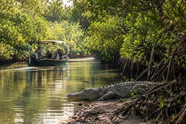 bhitarkanika wildlife tour