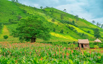 andhra araku valley nature