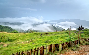 Ziro Valley Escape