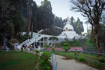 darjeeling tea heritage tour