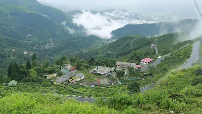 Luxury Darjeeling Tea Estate Stay