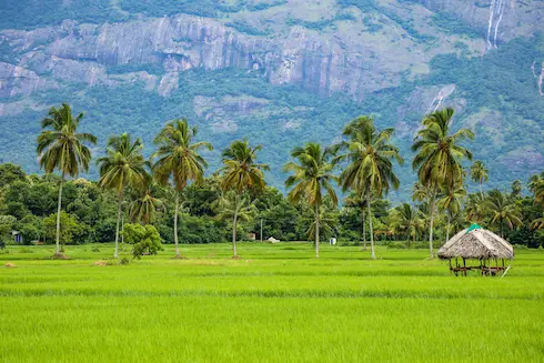 kerala weekend escape