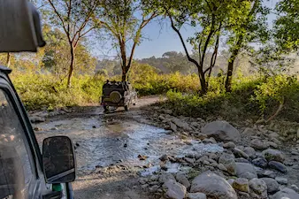 Jim Corbett Safari Escape