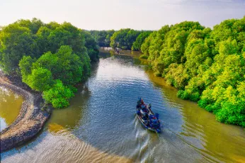 Sundarbans mangrove forest and river boat journey