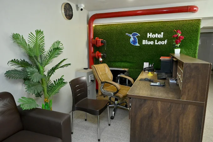 Hotel Blue Leaf img