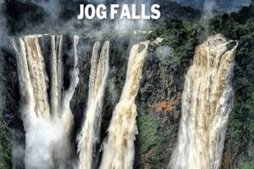 Top Resorts and Lodges Near Jog Falls for a Relaxing Vacation | TripLodgeUniverse