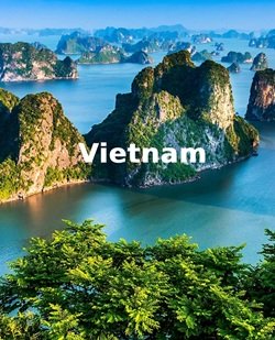 Holiday Packages
