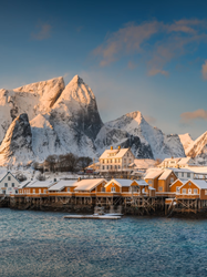 Holiday Packages