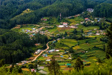 hillside village surrounded by lush green forests