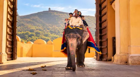 Family Tour Packages